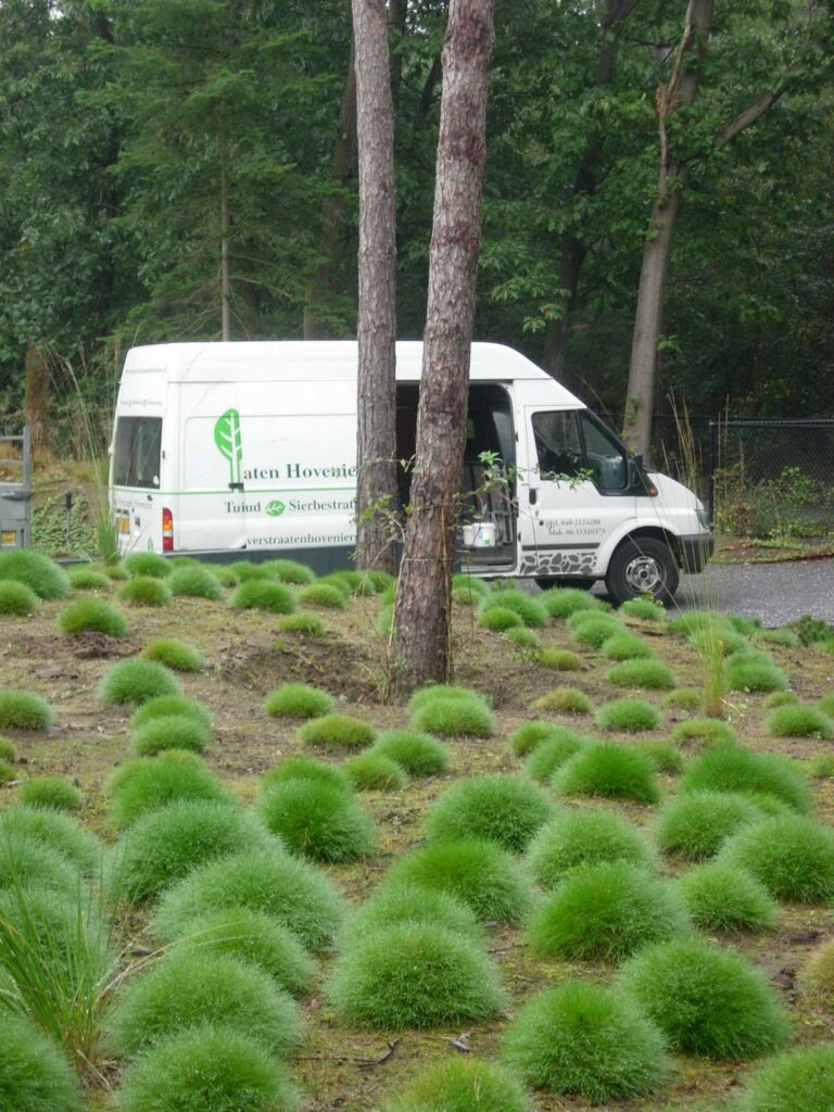 Veldhoven - Hovenier