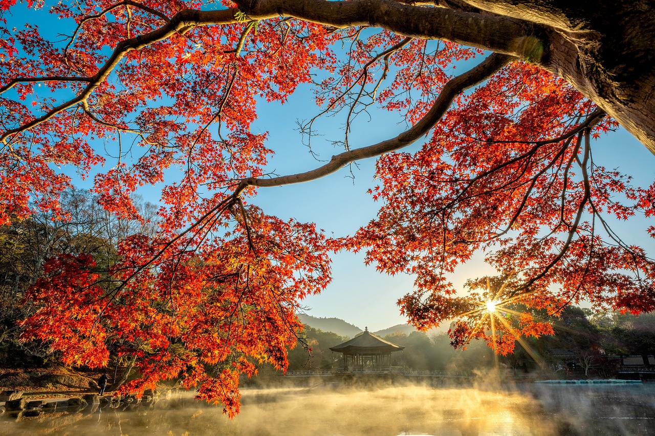 6 tuintips voor eind oktober