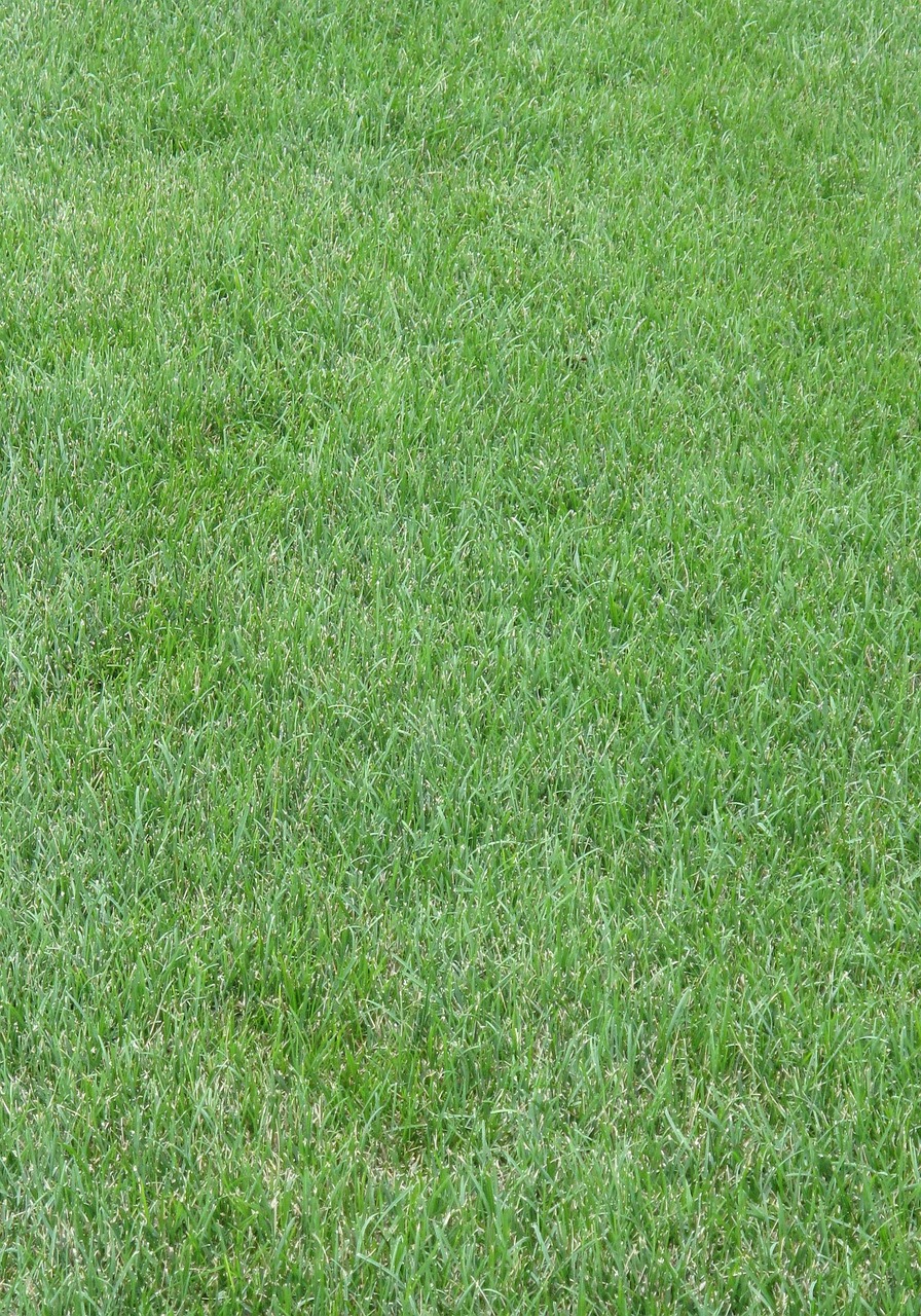 Graszoden